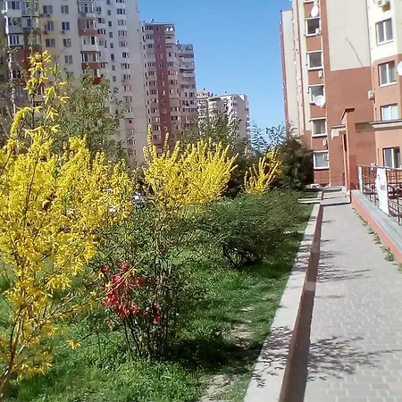 Kiparis Apartamento *
