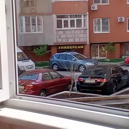 Kiparis Odesa