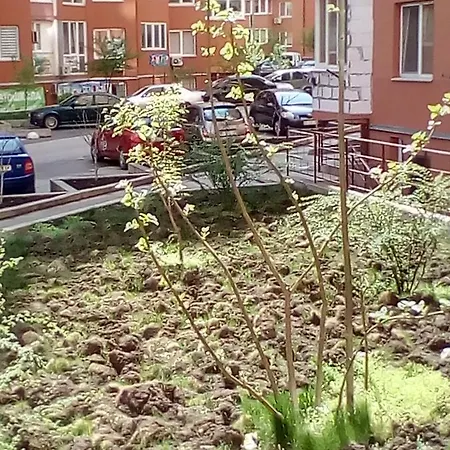 Kiparis Apartamento