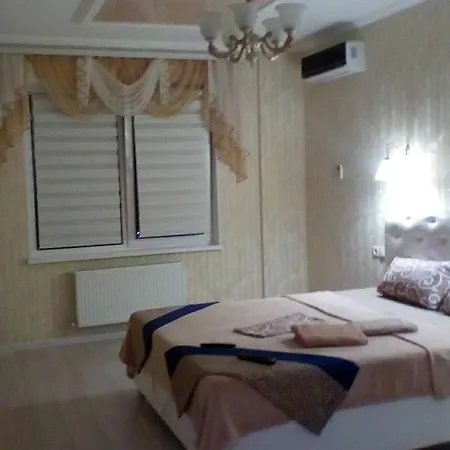 Kiparis * Odesa
